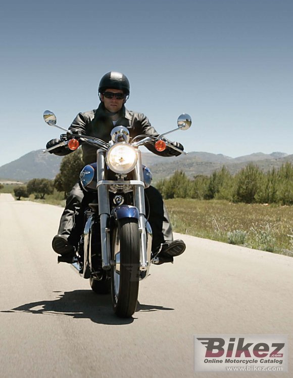 2008 Triumph America photo